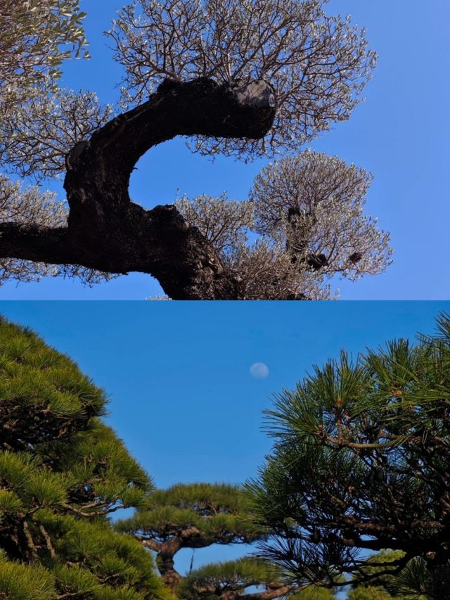 我發現了一個不必雲南差的花花世界