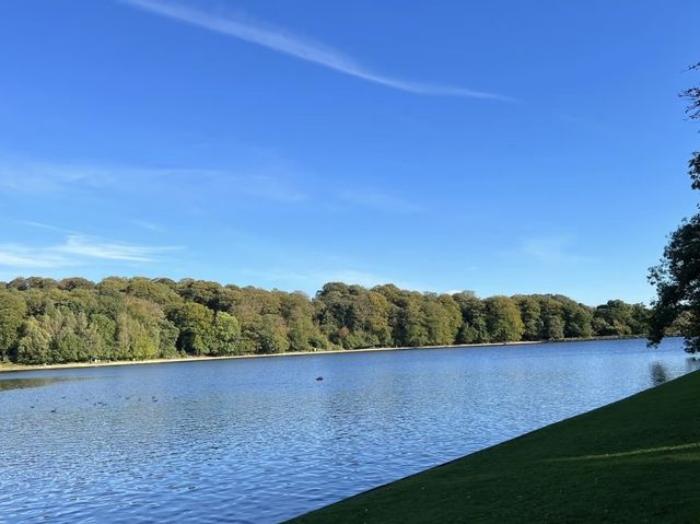 探索利茲綠肺：朗德海公園，城市中的自然天堂！