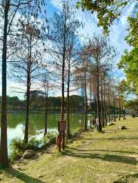 深圳最適合帶小朋友捉魚釣魚的公園
