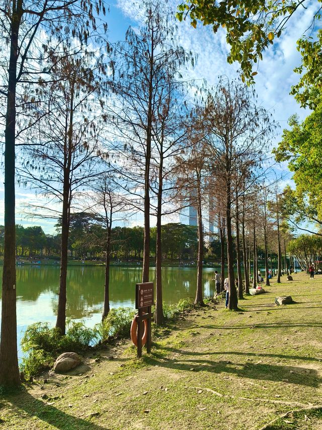 深圳最適合帶小朋友捉魚釣魚的公園