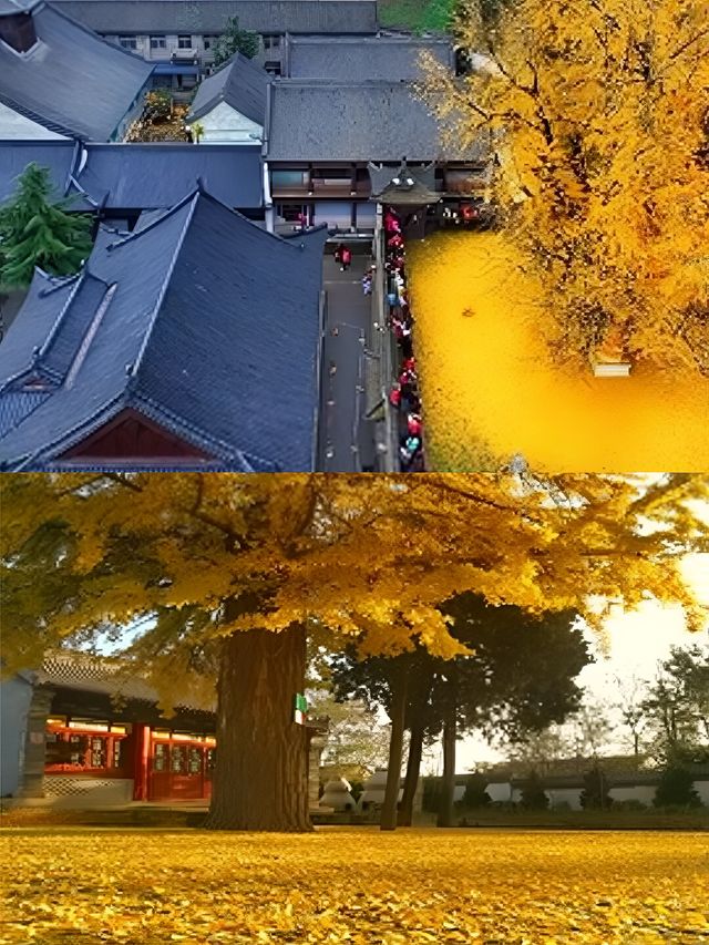 西安出發2小時，解鎖麟遊秘境，穿越古今奇幻行----
