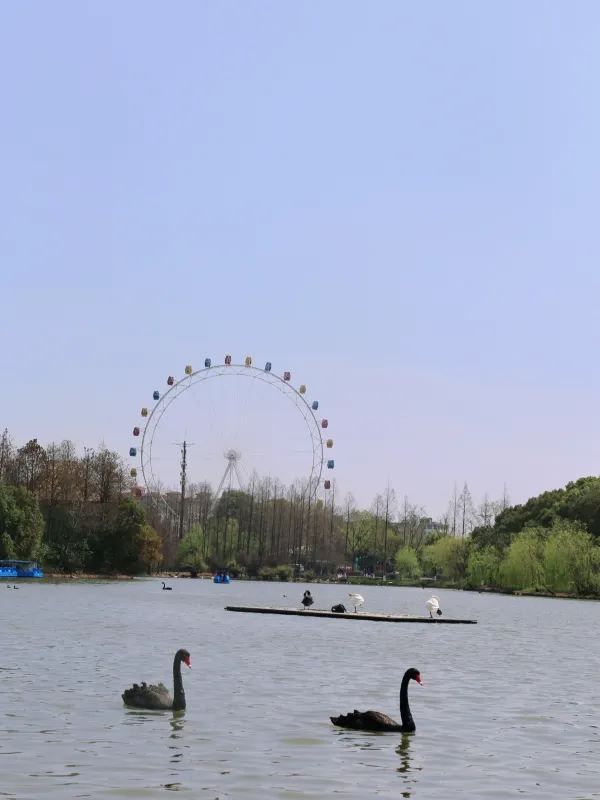 Family Travel | First Spring Outing: Shanghai Wildlife Park‼️