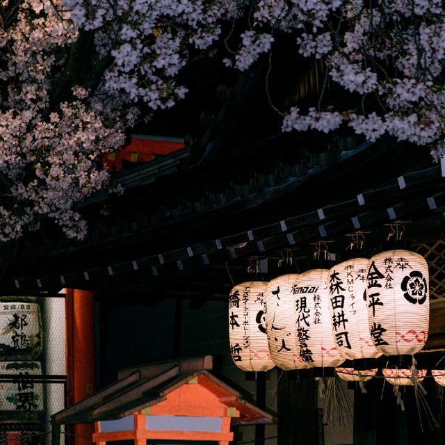 🌸追櫻地圖 | 日本的春天，是一萬次的春和景明