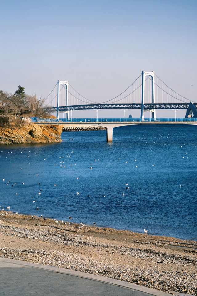 淡季的星海公園真是人間理想