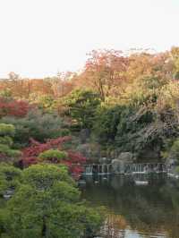 光與夢的交響曲：大阪萬博公園漫遊記