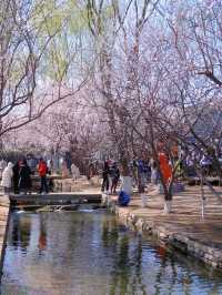 北京三里河公園