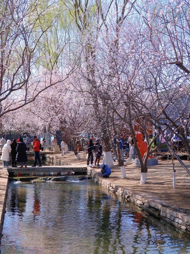 北京三里河公園