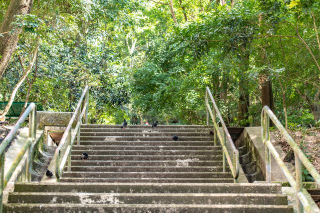 香港寶馬山遠足：輕鬆的登山方式欣賞港島全景，感覺不要太爽！