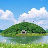 韓國麗水，一個被低估的寶藏旅遊地