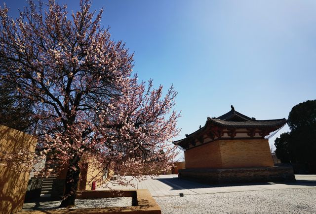 芮城廣仁王廟遊覽