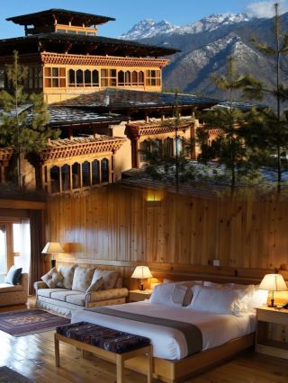 This hotel is so comfortable, I'll definitely come back again!