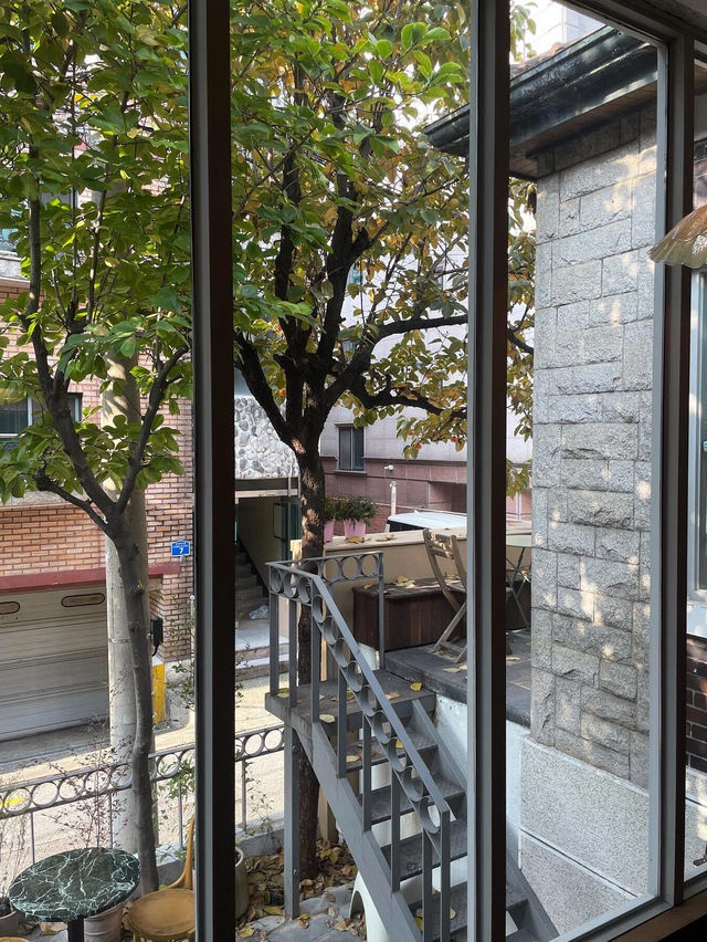 首爾延南洞探店 | Camellia，氛圍感拉滿