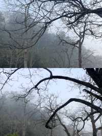 探索雲南古墨村，千年墨香飄四方