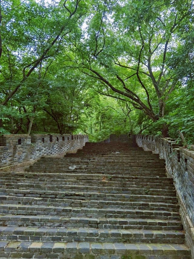 逃離都市喧囂，奔赴虞山這場綠野之約