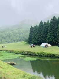 玉林大容山森林公園：霧中仙境之約