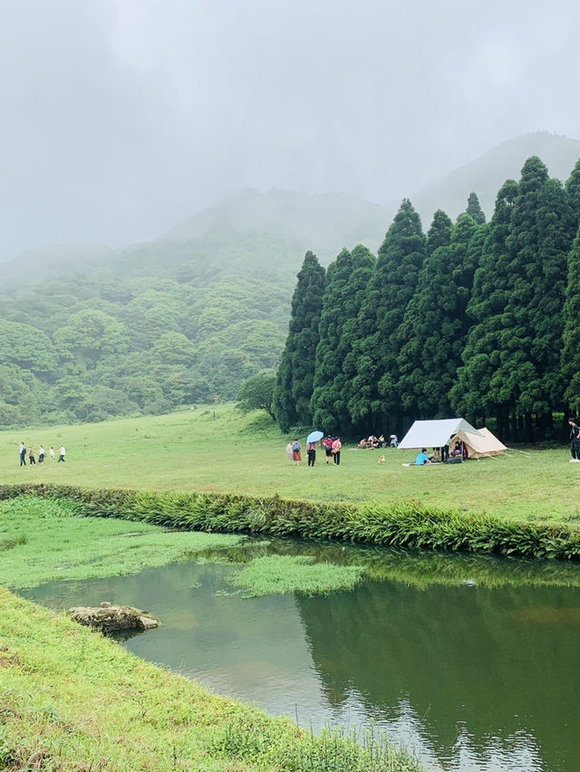 玉林大容山森林公園：霧中仙境之約