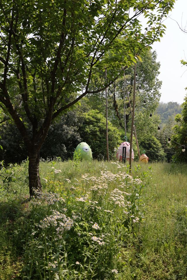 湖州甘舍|山水間的團建絕佳之地