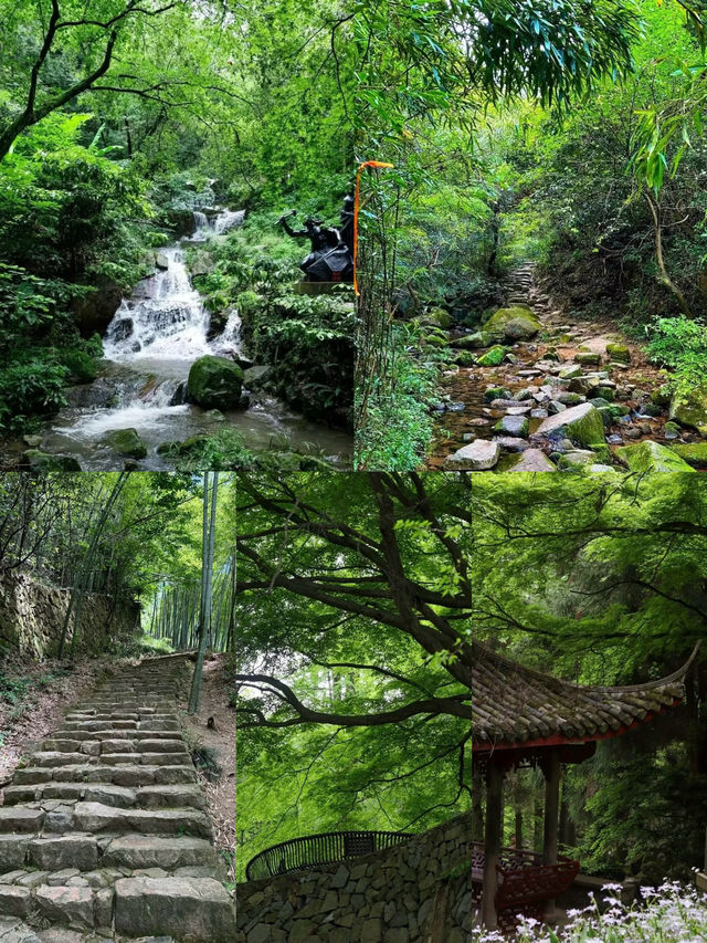 夏日避暑聖地——莫干山