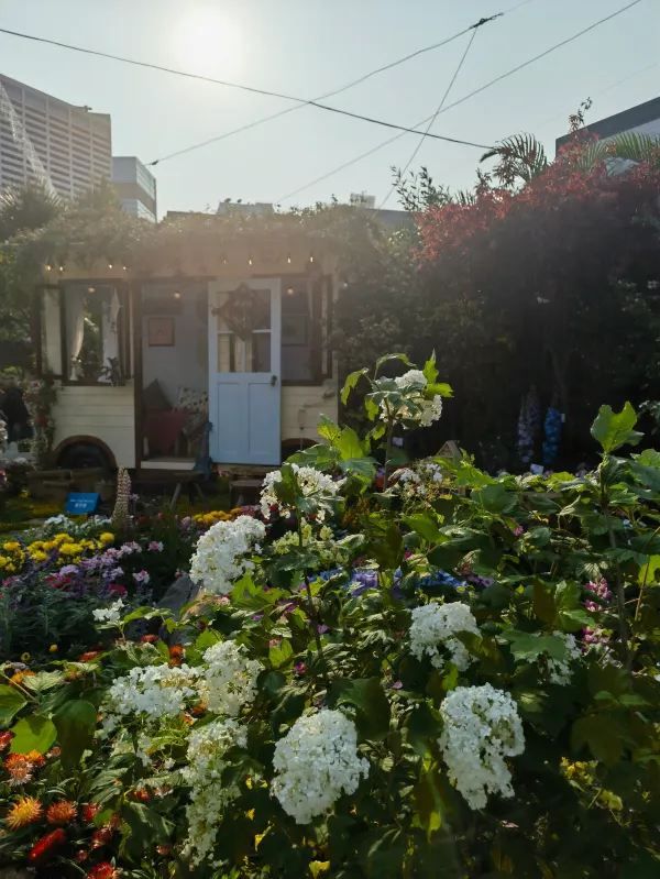 🌸 維多利亞公園花卉展：自然的色彩盛宴