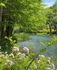 虎丘濕地公園
