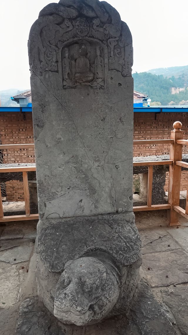 唐構嘅DNA動咗一動
