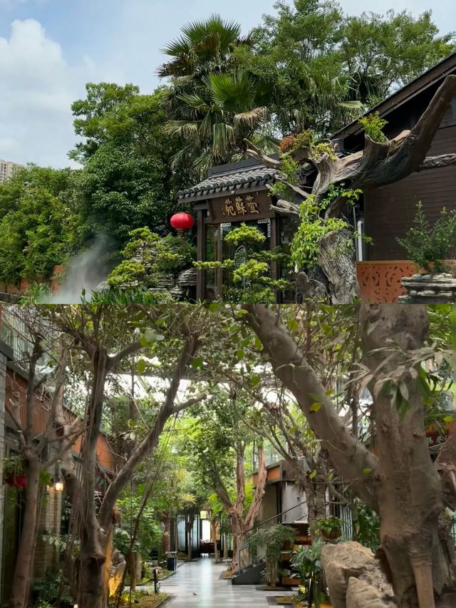 南昌嘅風景太靚啦，今年錯過咗明年仲要等一年