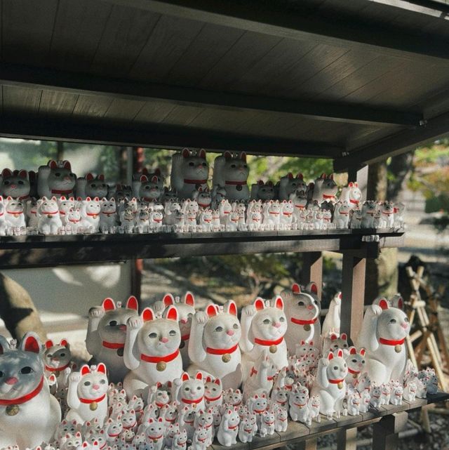 東京旅行打卡｜這些景點不能錯過！🇯🇵