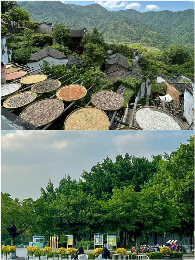 五一短途遊 | 呢啲0差評寶藏地承包你嘅快樂