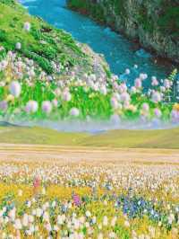 川西格聶花海幾月去最美？