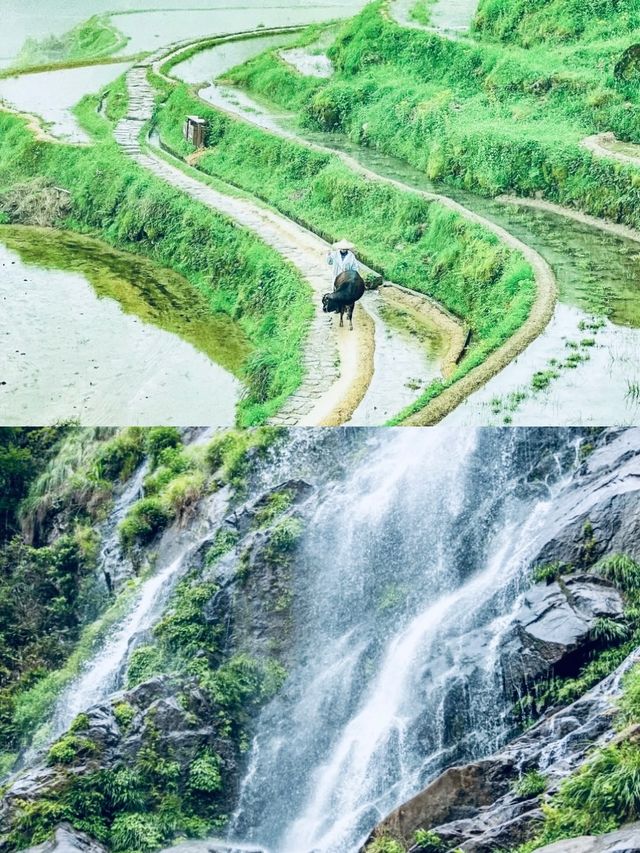 央視都嚟拍嘅景寧雲海梯田！清晨5點嘅畫面直接封神！”
