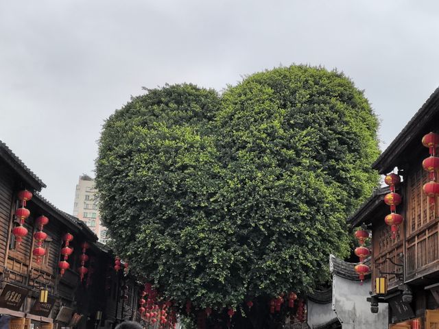 住進閩都煙火裡，解鎖地道福州味