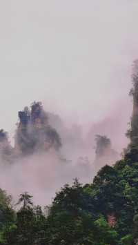 霧漫張家界：邂逅水墨仙境