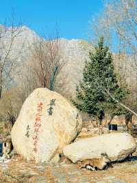 與遠古的對話，盡在賀蘭山岩畫