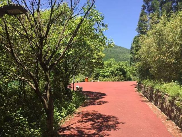 讓我們感受貴州19°的夏天—六盤水