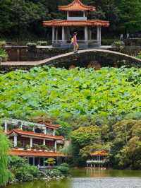 如果你嚟深圳，我一定會帶你去仙湖植物園！