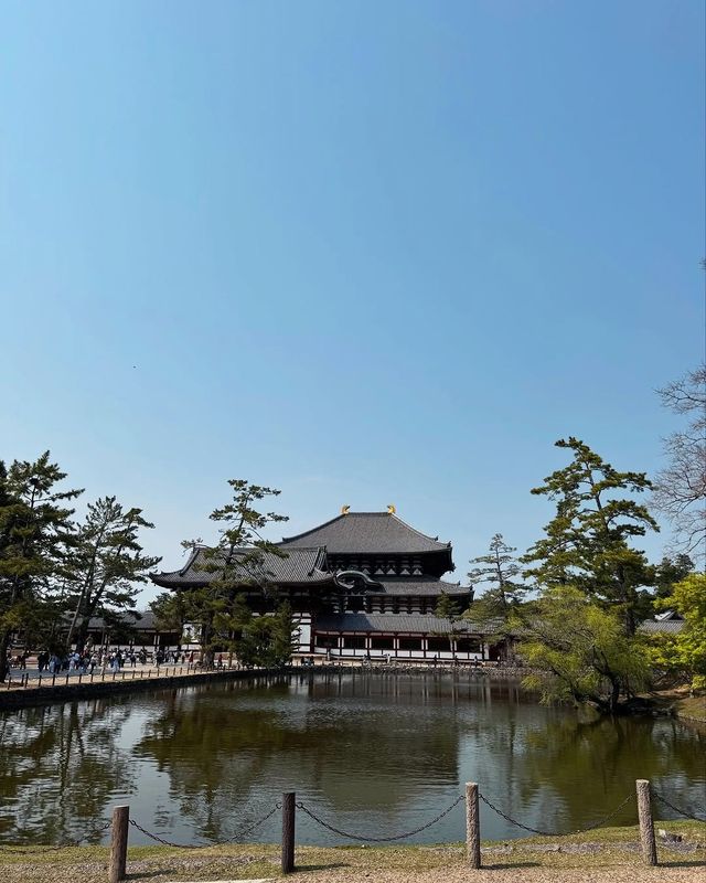 京都＆奈良＆宇治攻略，穿越關西3大名城。