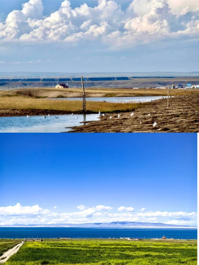 青海湖，高原上嘅壯麗畫卷！！