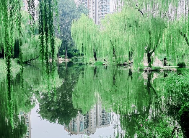 呢度唔止有神樹！北京治癒系帶娃公園！詳見攻略！