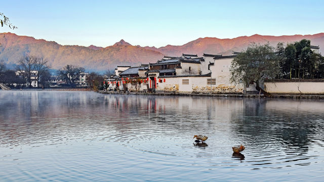 黃山3日遊 玩轉全景不走冤枉路