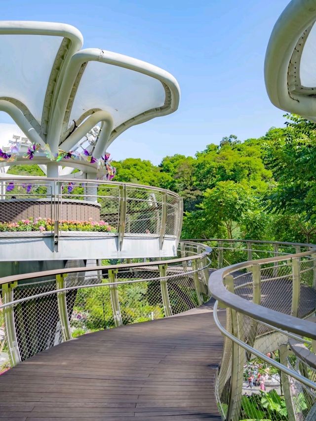🌳Yunluo Botanical Garden is Astonishing 🥰