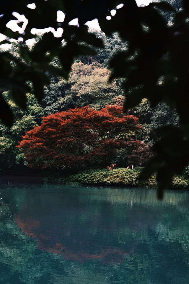 喺酒店欣賞錢塘江美景