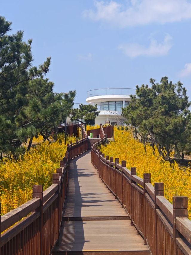 青島，邂逅浪漫與自然嘅完美之旅 