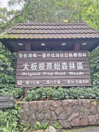 台北週邊🌿大板根森林溫泉渡假村探秘