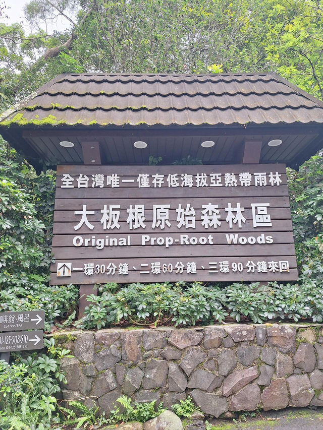台北週邊🌿大板根森林溫泉渡假村探秘