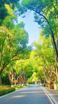《東湖旅遊攻略，唔通唔係你武漢之旅嘅必備指南？》