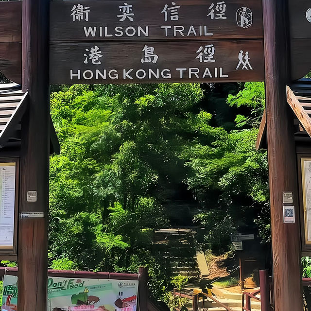 澳門跨境香港交通打卡｜港島徑畢拿山：抹茶蛋糕味的天空之城🍃