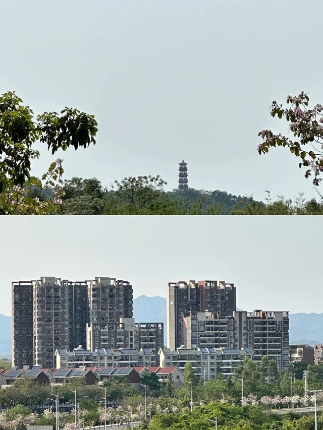 龍門玩咗三日，我嘅消費觀崩塌咗