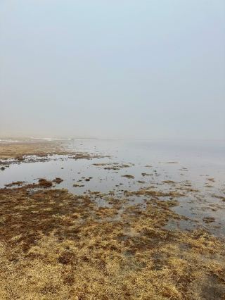 Did the fog or beauty take my breath away? Mt. Aso 💨