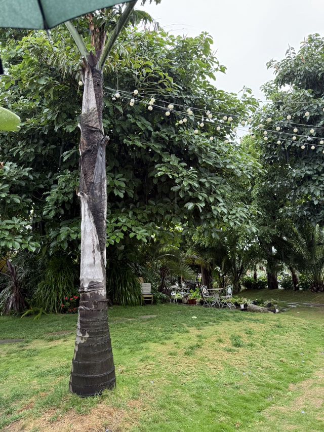 喺大理洱海旁邊，有一處恍如世外桃源嘅地方