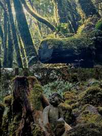 闖入迷霧結界！哀牢山，解鎖異世界生存法則